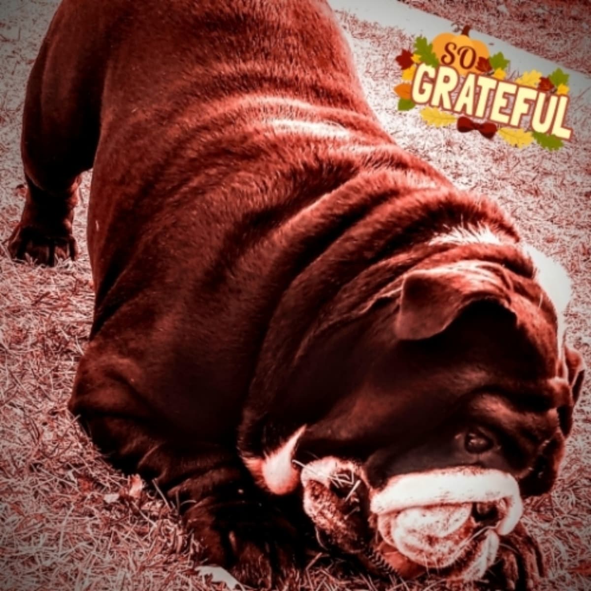 HelpZeusGetTreatment