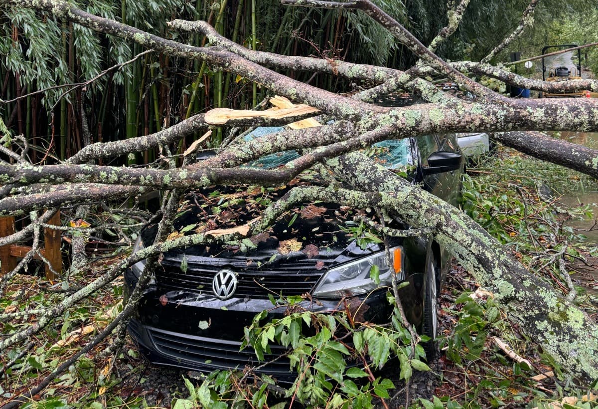 AshevilleHurricaneYesReally