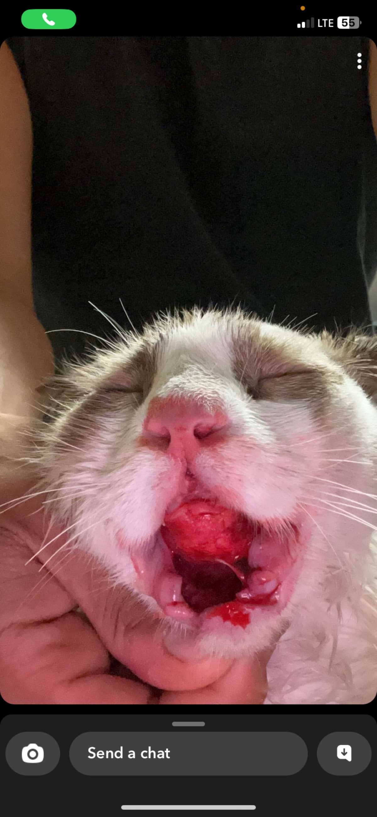 DavesSurgery