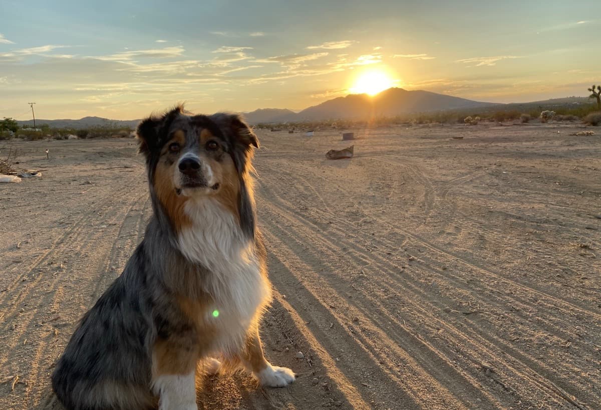 CaliGurlMemorialService