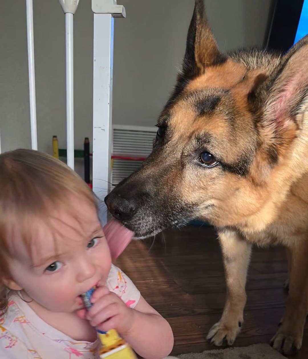 Help Arlo Fight Lymphoma For A Better Life