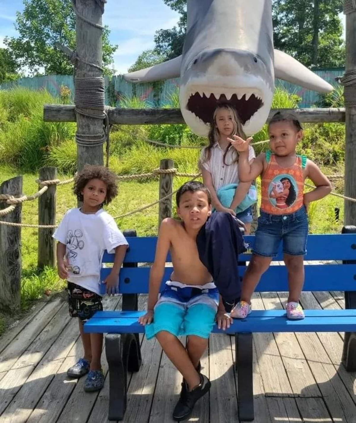 HelpGetMyCarBeforeAuctioned