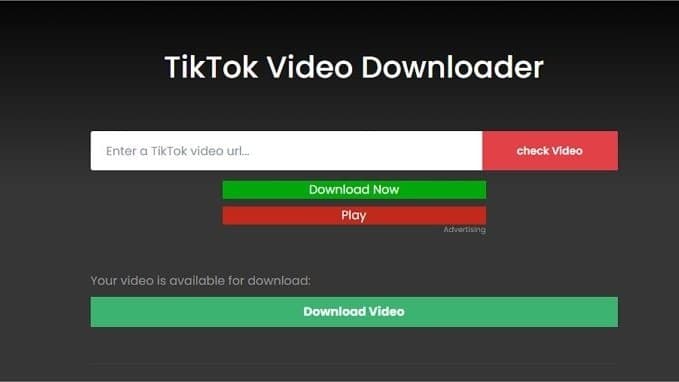 TikTok To MP4 Converter – Download Videos In HD | JJTikTok