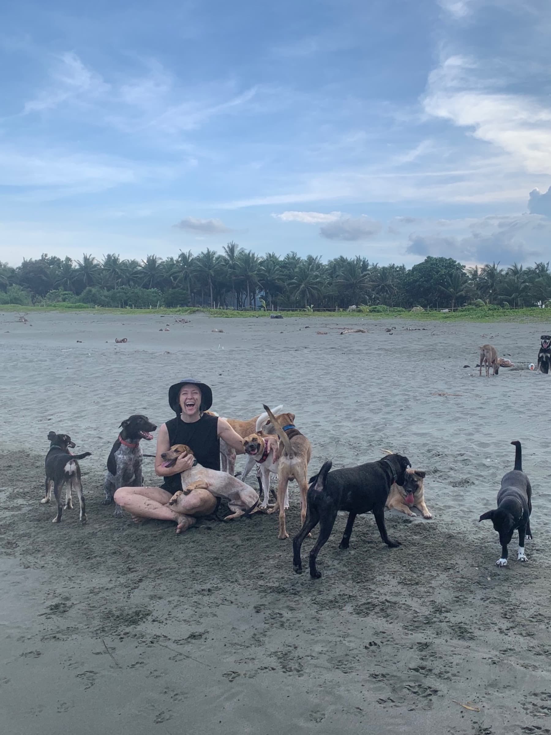 13 Rescued Dogs, One Epic Journey to Safe Forever Homes