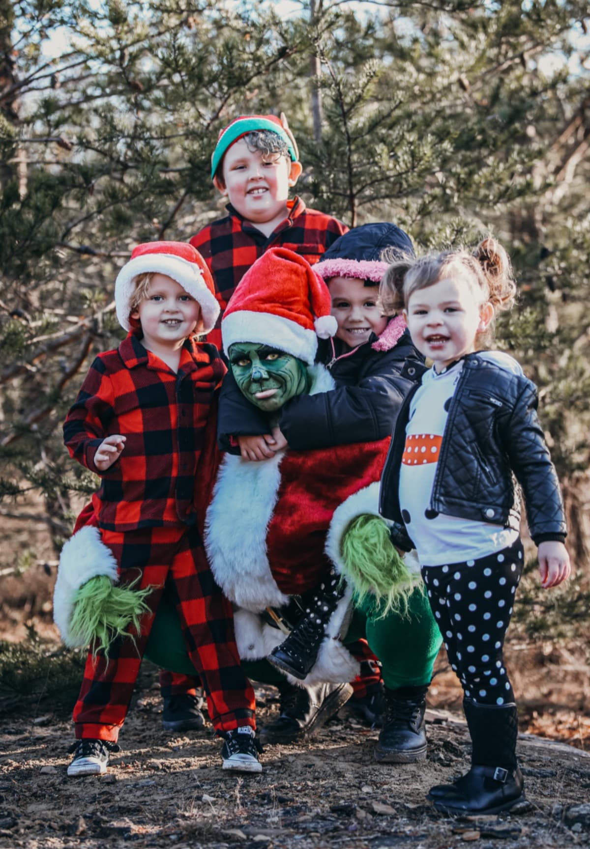 TheGrinchMeetsGreenup