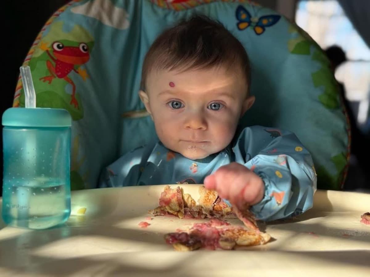 SawyersGeneticExpedition