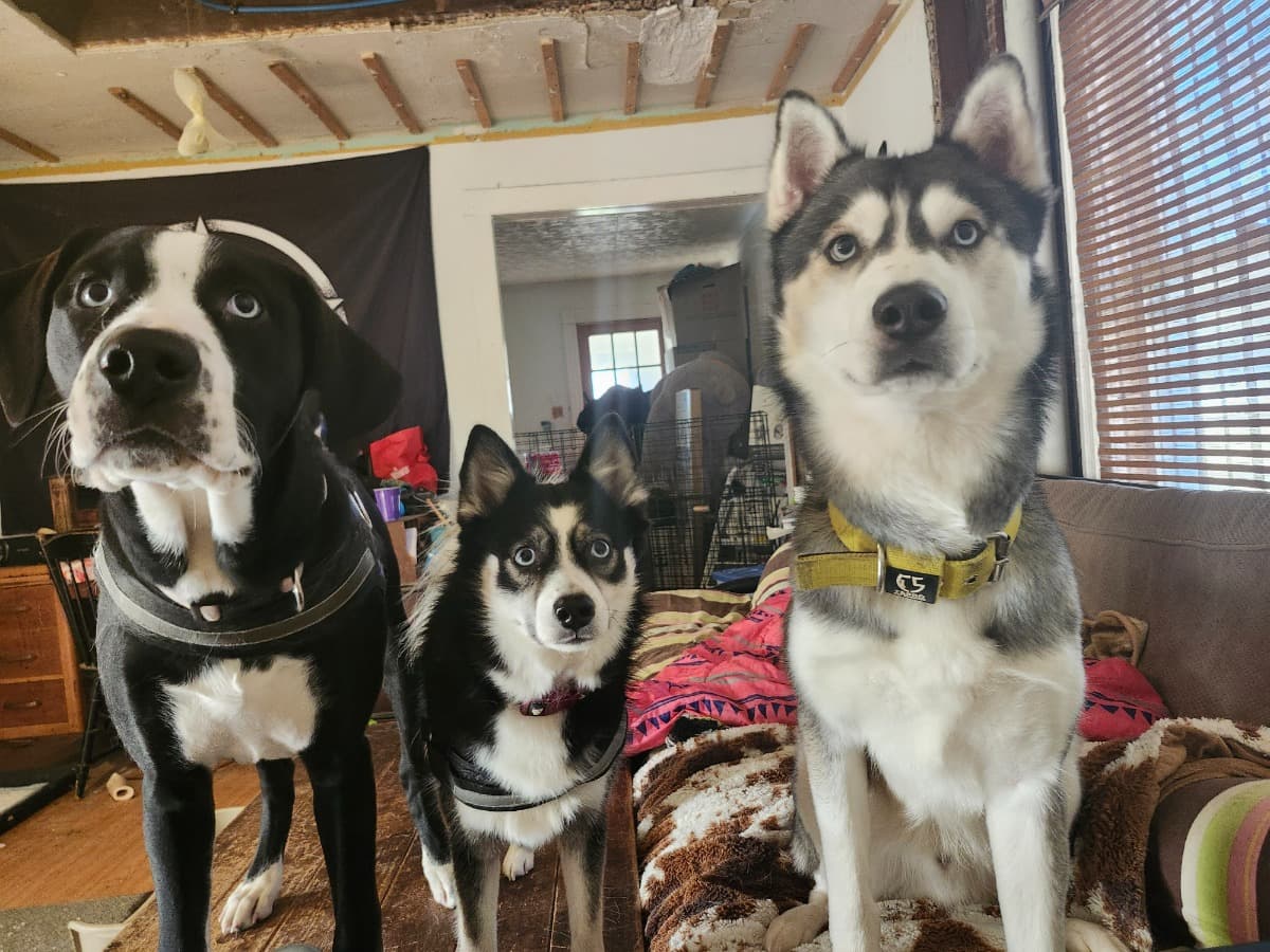 PleaseHelpUsSaveOurHome