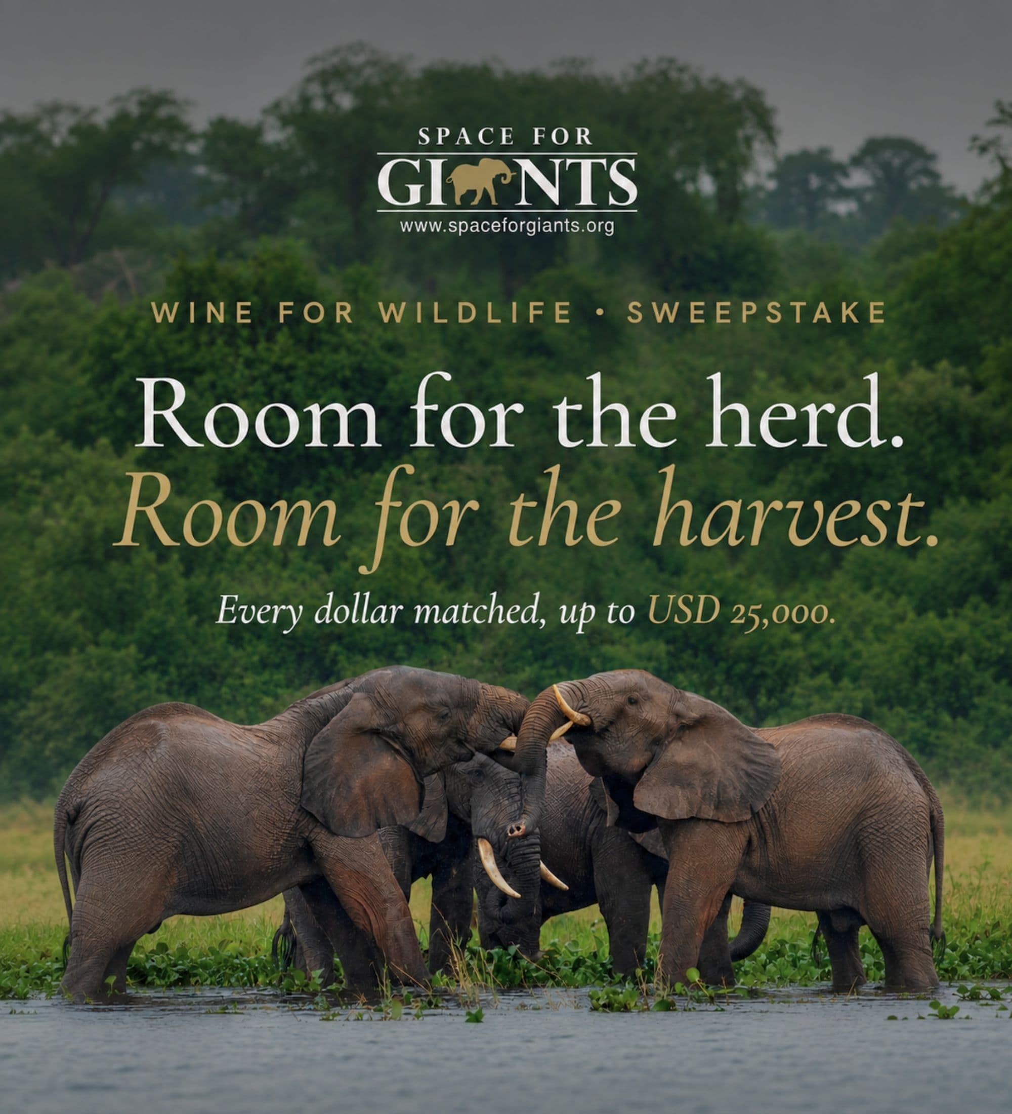 Wine For Wildlife Sweepstakes 2026