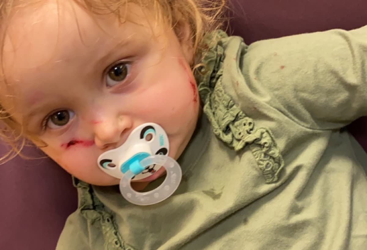 JusticeForHarlowTravee