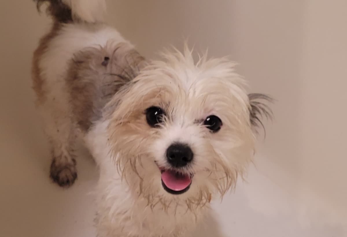 HelpUsPayOffHerVerBills