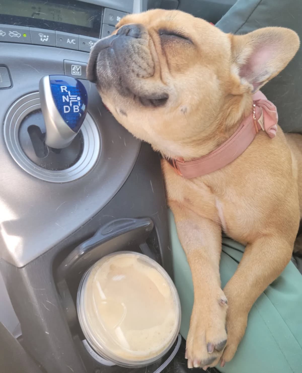 BarbieFightsRenalFailure