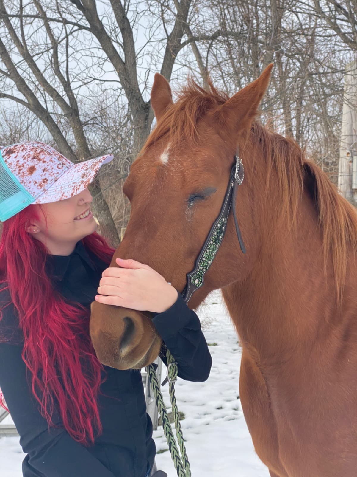 HelpMeGetBackIntoHorses