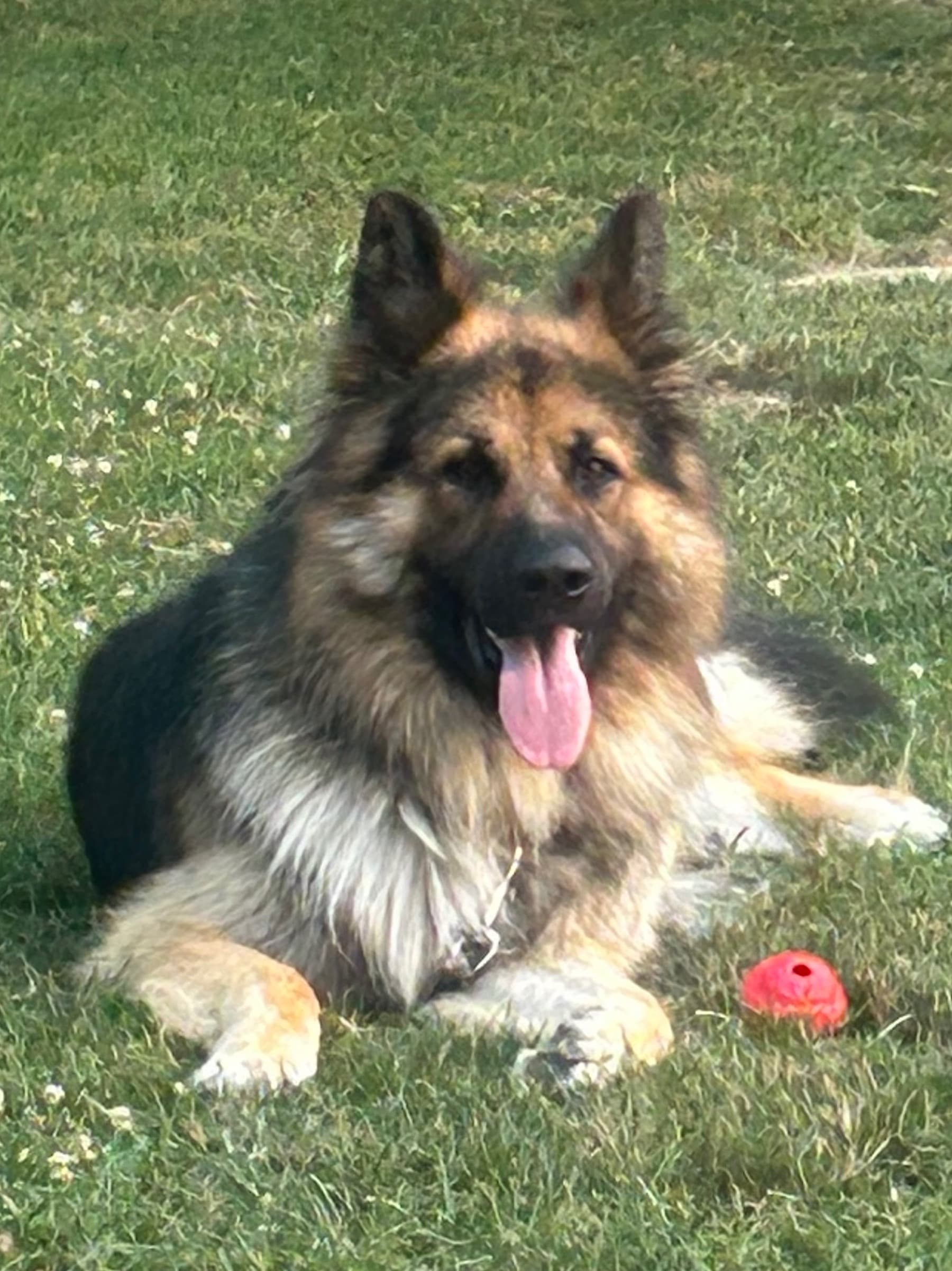 HelpForKoda