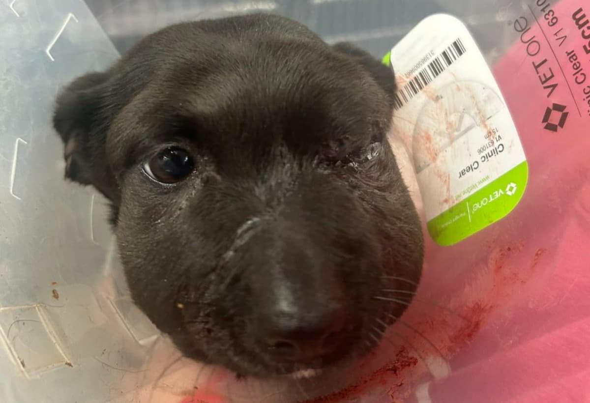 SupportJasonAndShelby