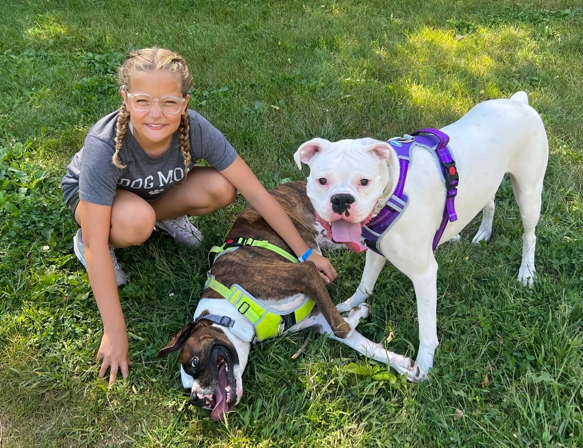 VioletBdayBoxerFund