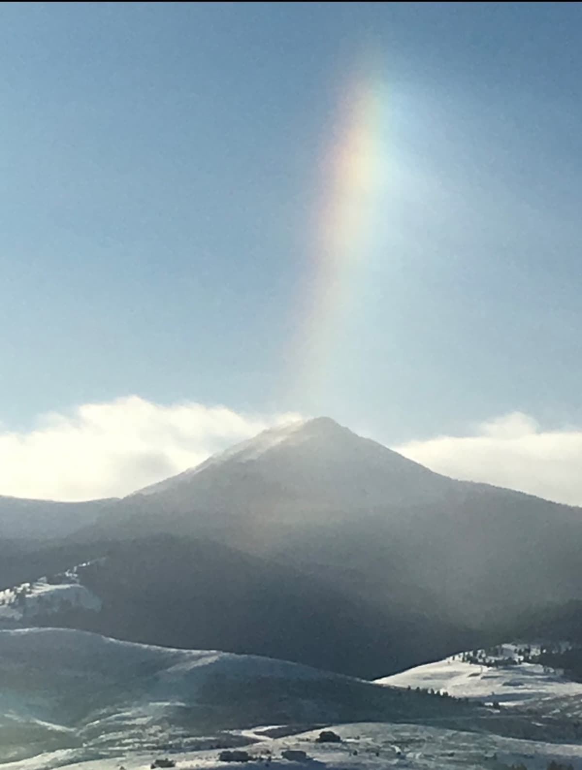 HelpSaveOurHomestead