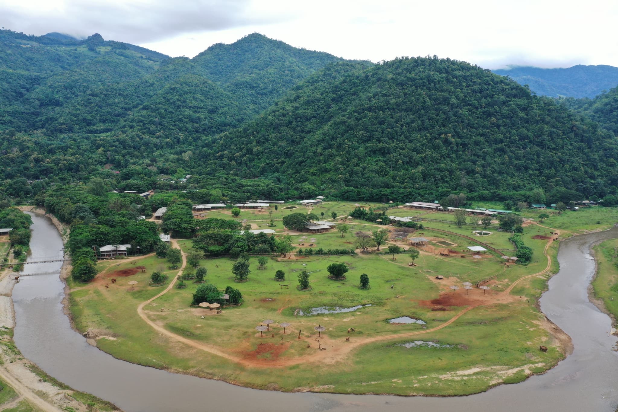 SaveElephantLand