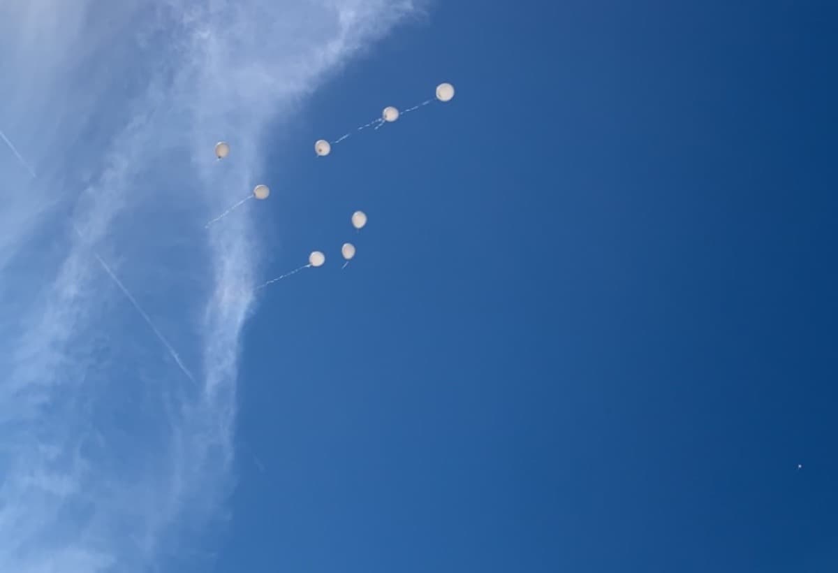 LostMyJobAndGotMyCarRepo