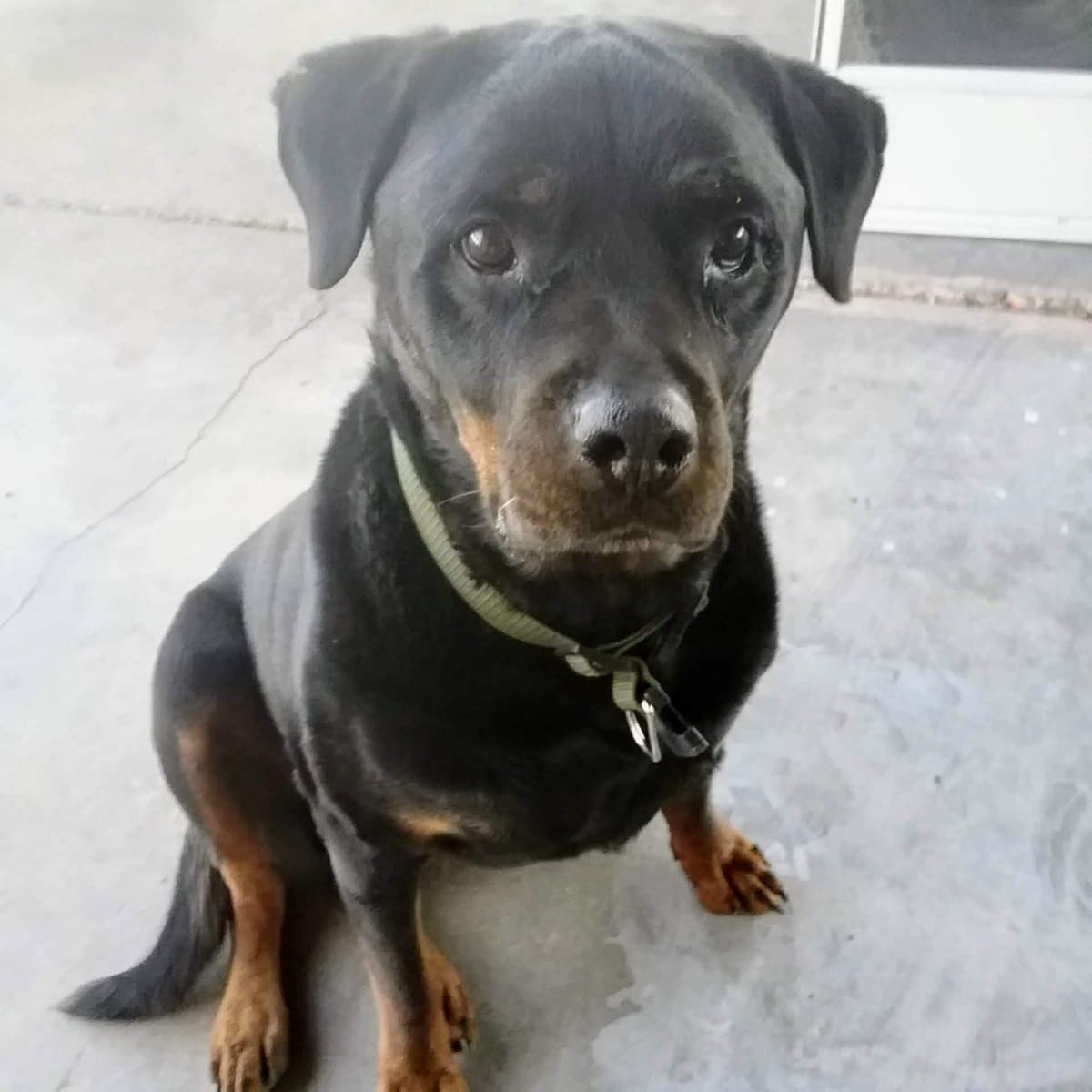 HomelessWithSuddenLoss