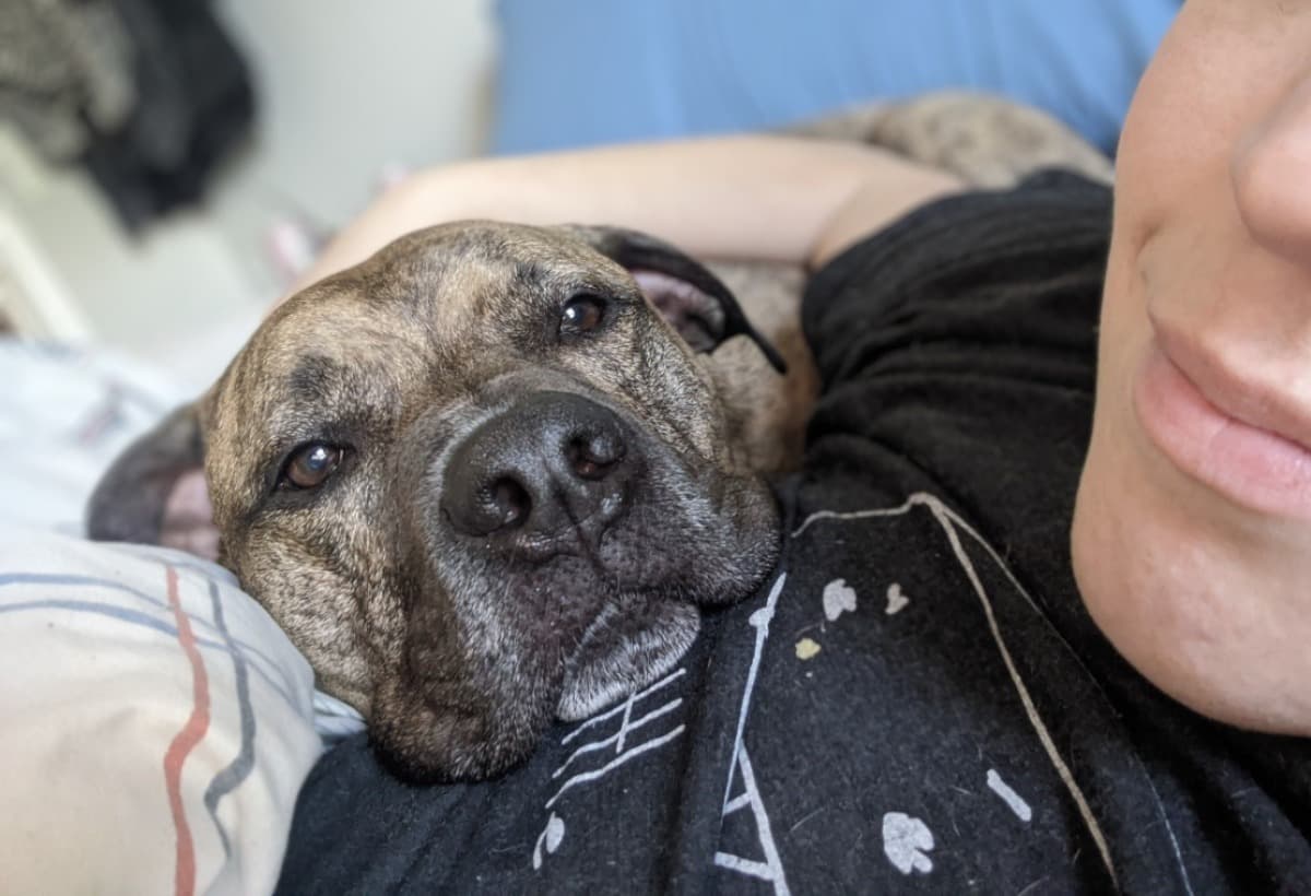 MaxieBoyRoadToRecovery