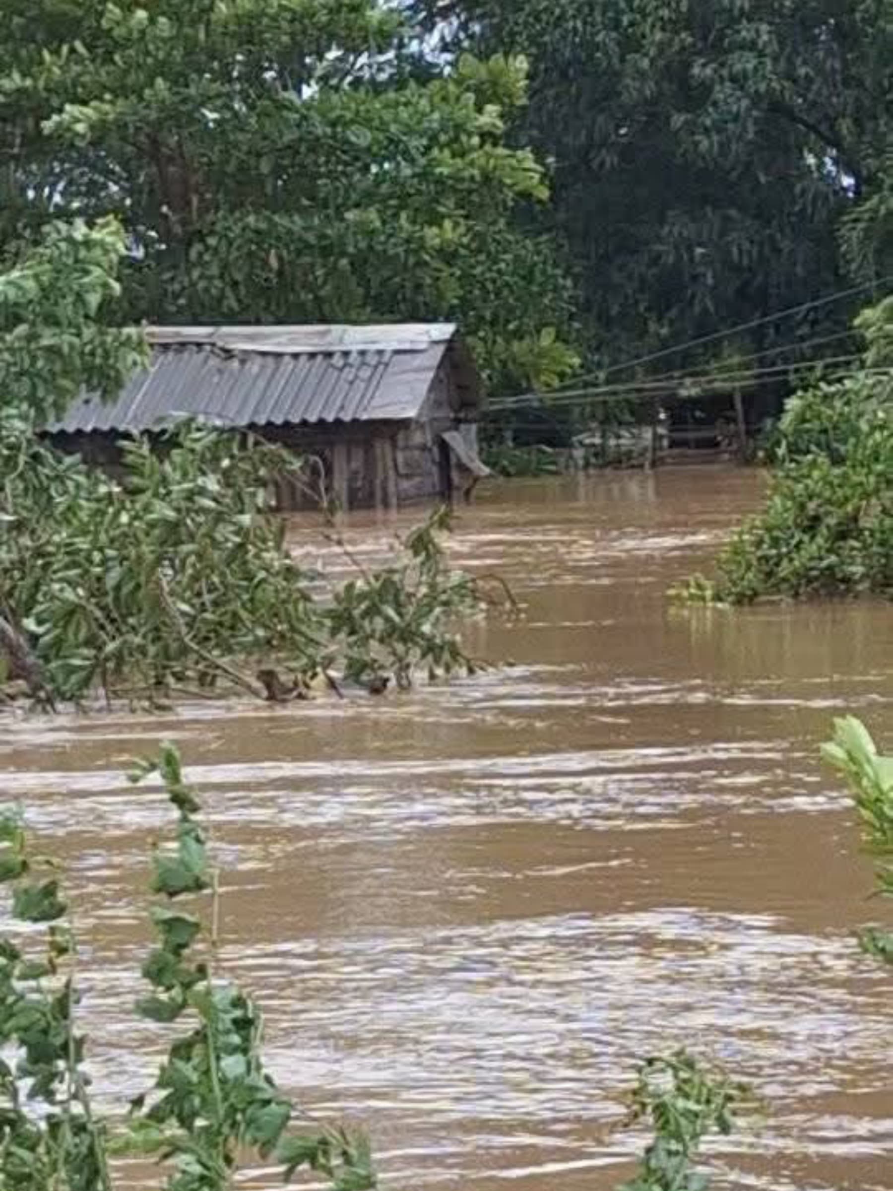 PleaseHelpMyGreatUncle