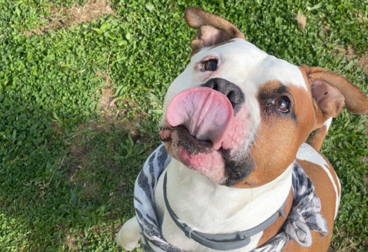 HelpRubbleBattleCancer