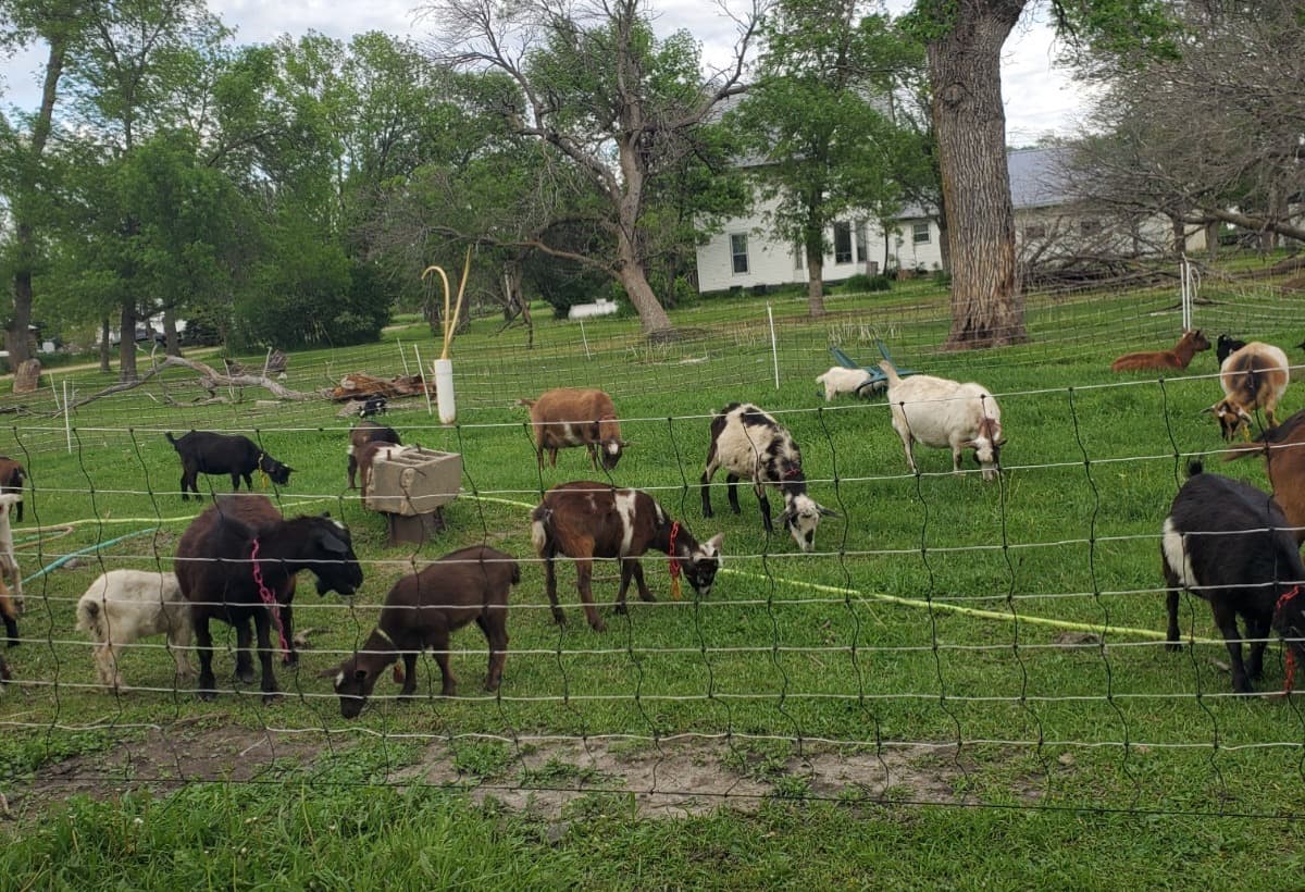 HelpOurNationsHomelessVeter