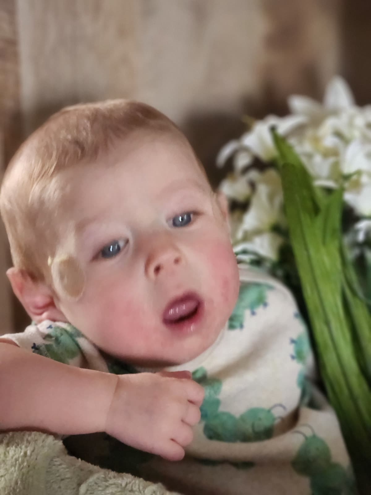 MateoPortableConcentrator