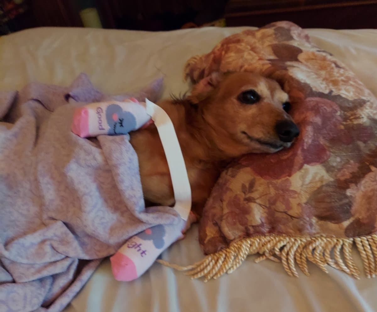 CinnamonLifeSavingSurgery