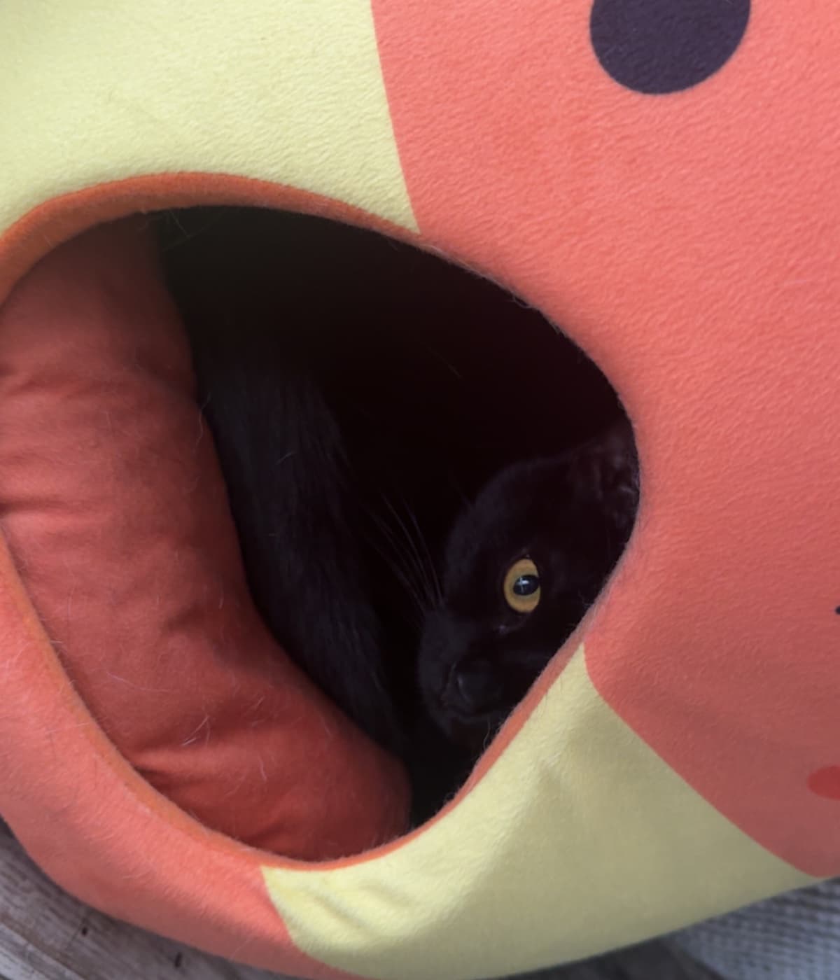 Help Baby BMO Overcome His Blockage