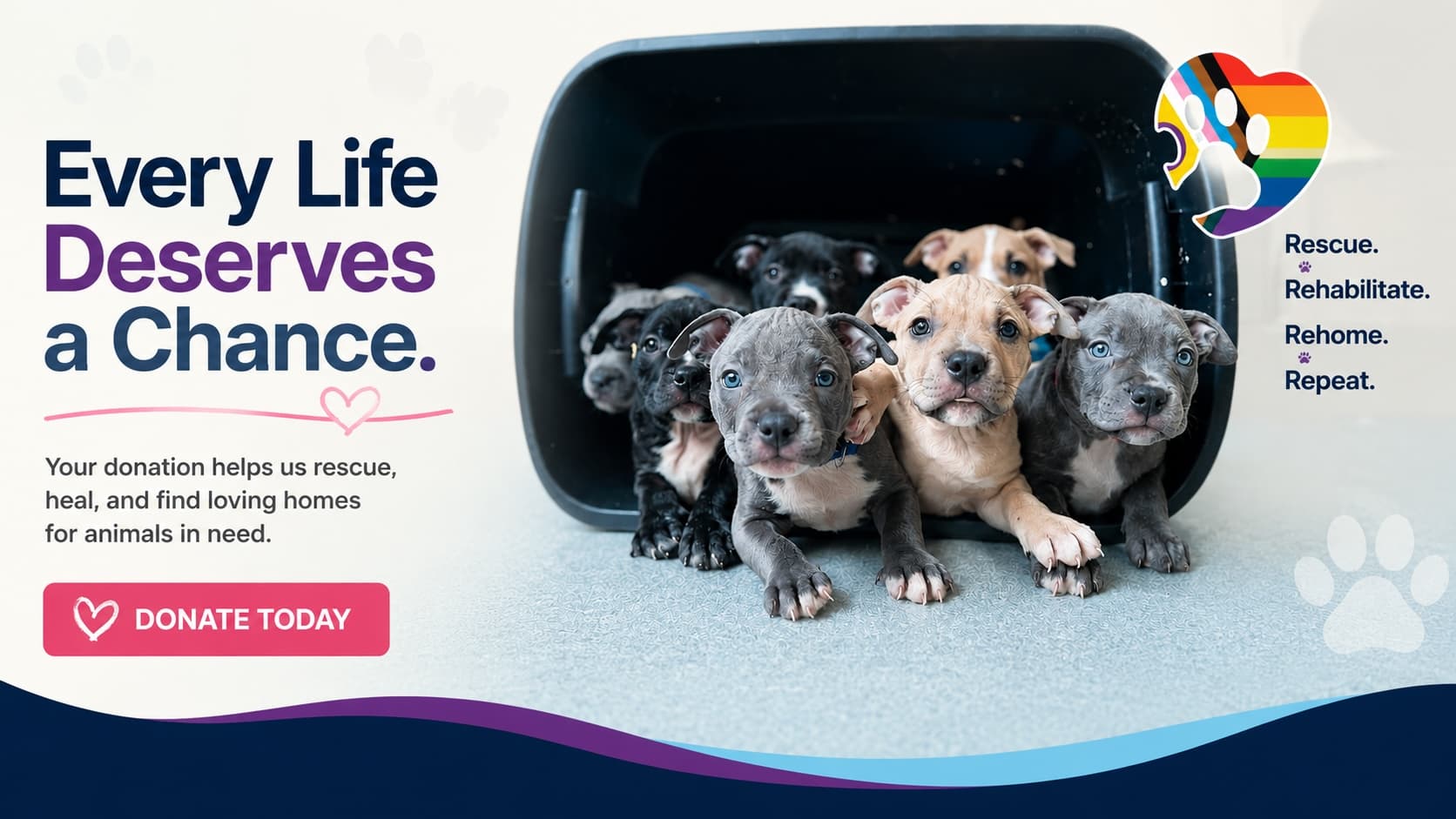 Support MSPCA-Angell