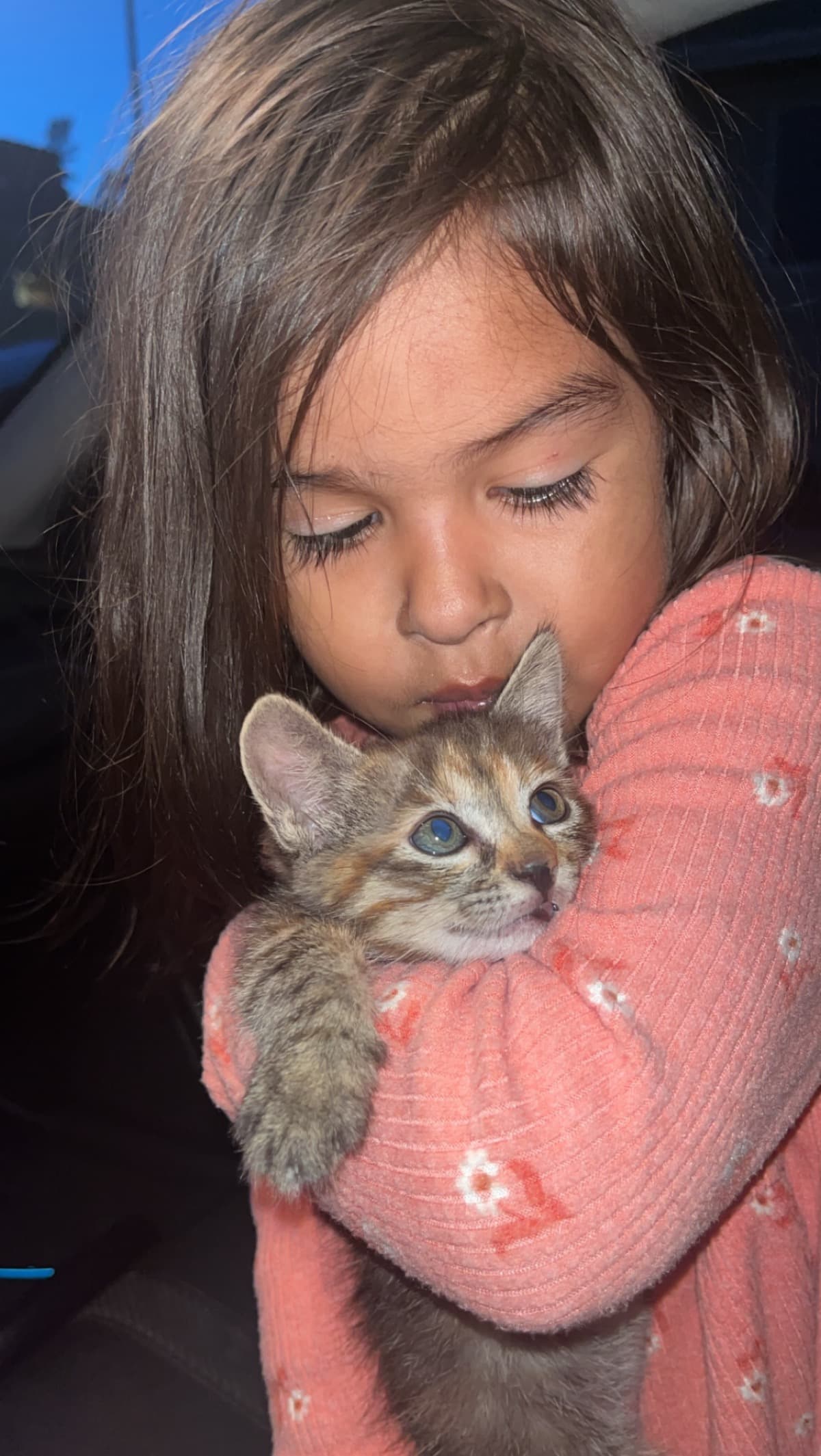 KittenWithBrokenLegNeedsHelp