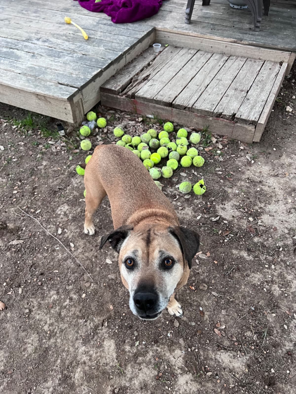 GooseNeedsNewBalls
