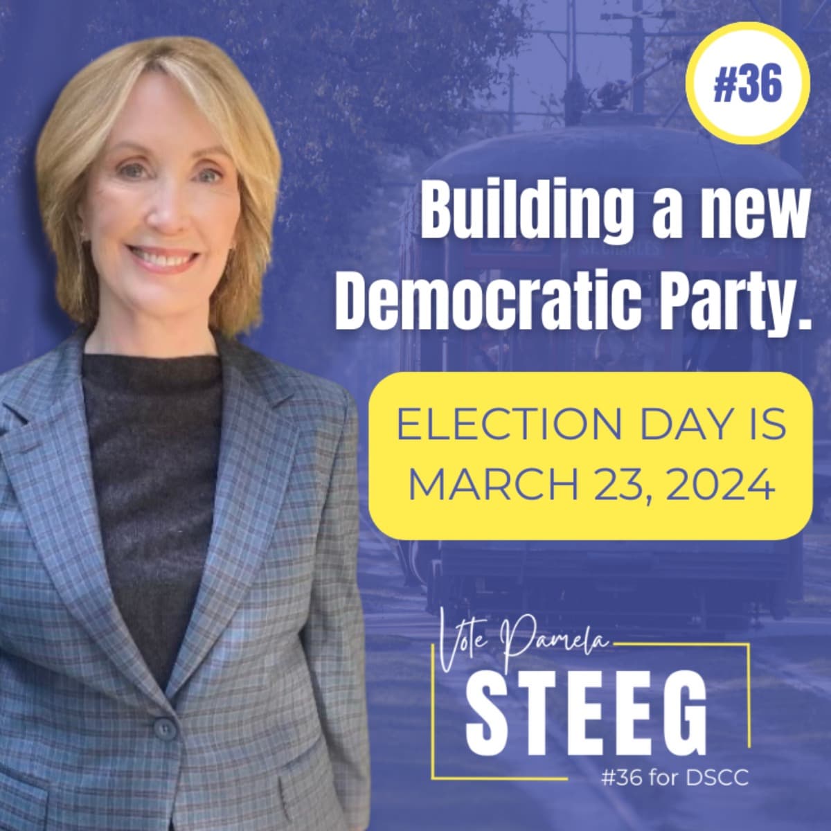 PamelaSteegForDSCC