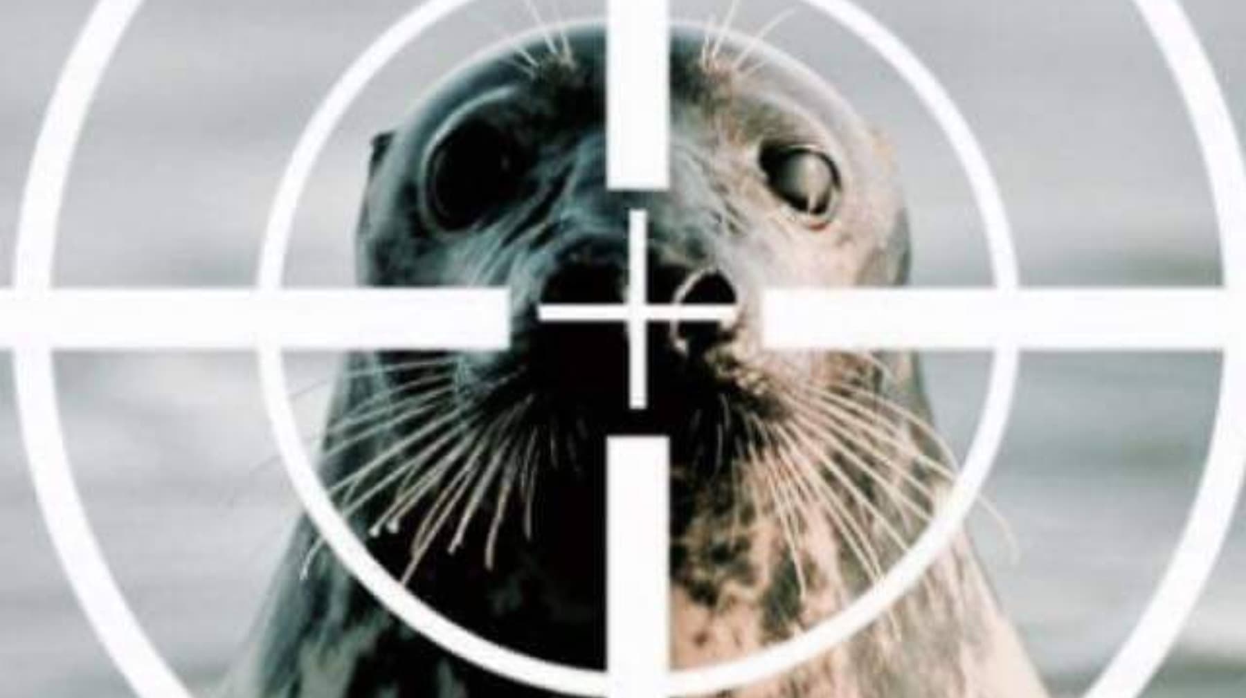 PacificBalanceMarineManagent