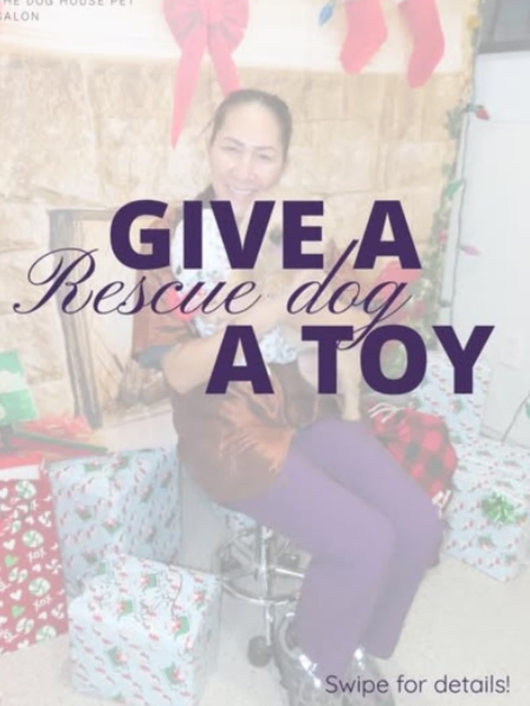 DonateAToyToShelterDog