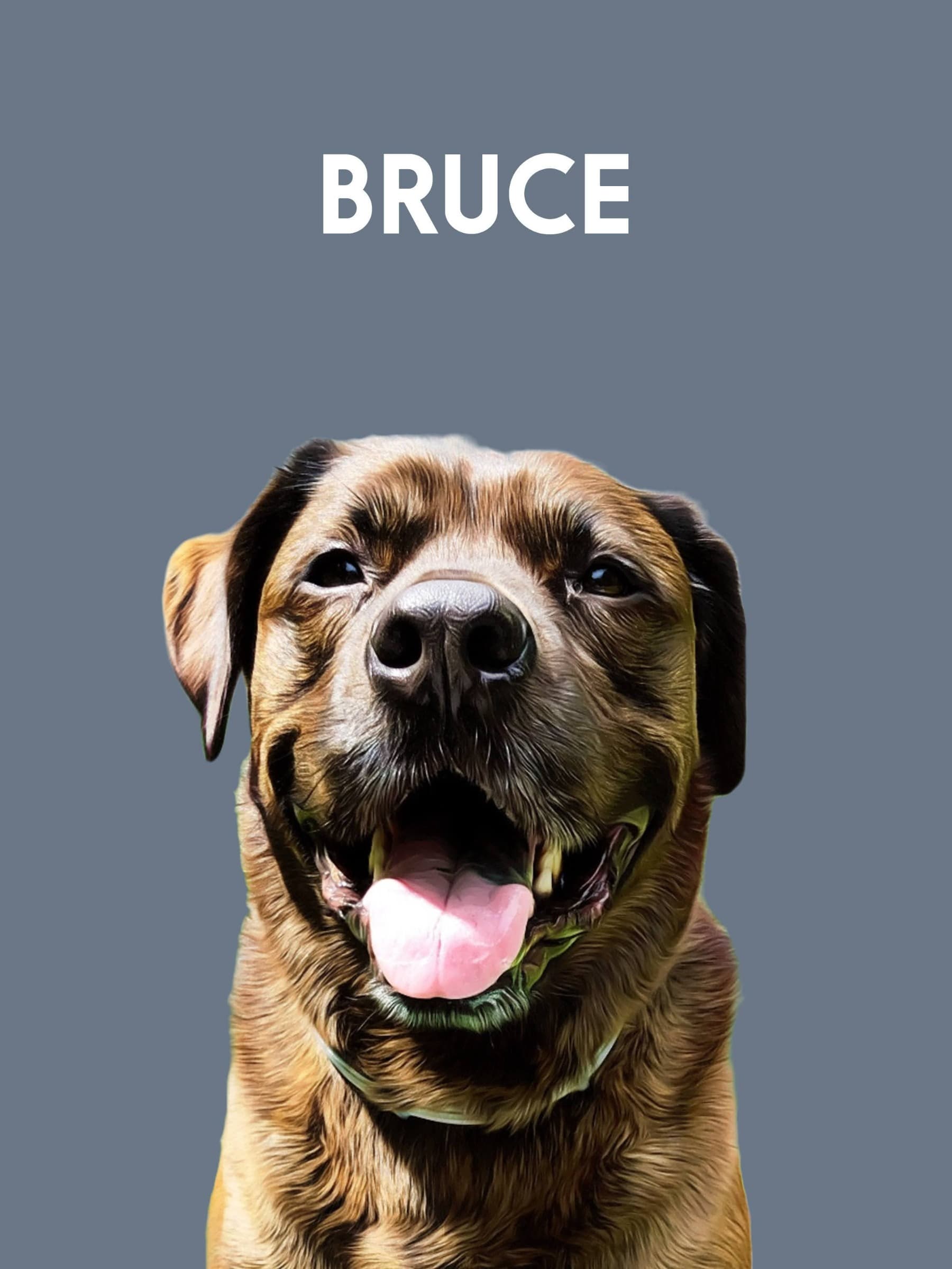 BrucesBox