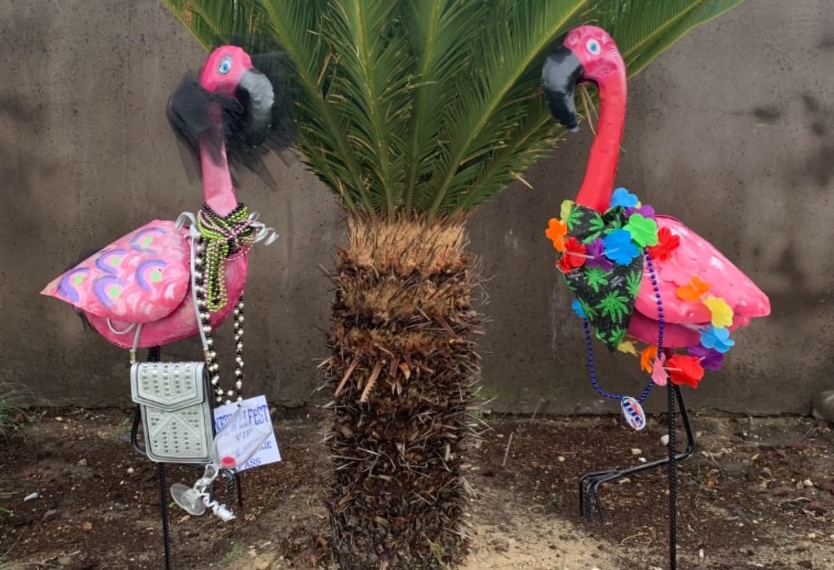 HelpTheFlamingosToNEWELL