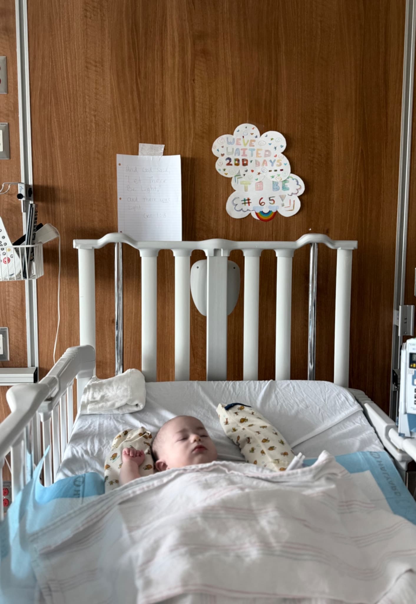 The Littlest Warrior: Lennox — photo 3