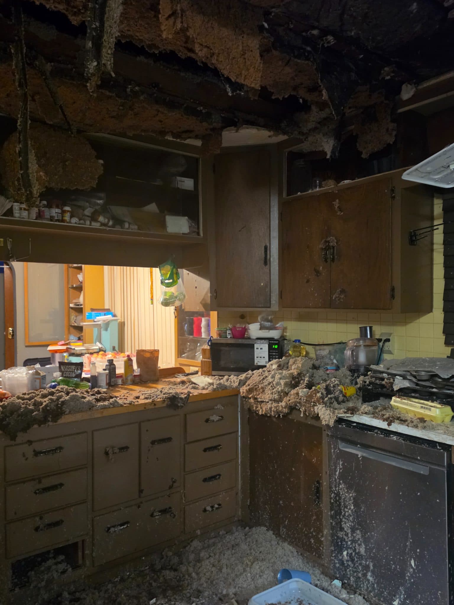 Urgent Help Needed: Rebuild After Ceiling Collapse — photo 2