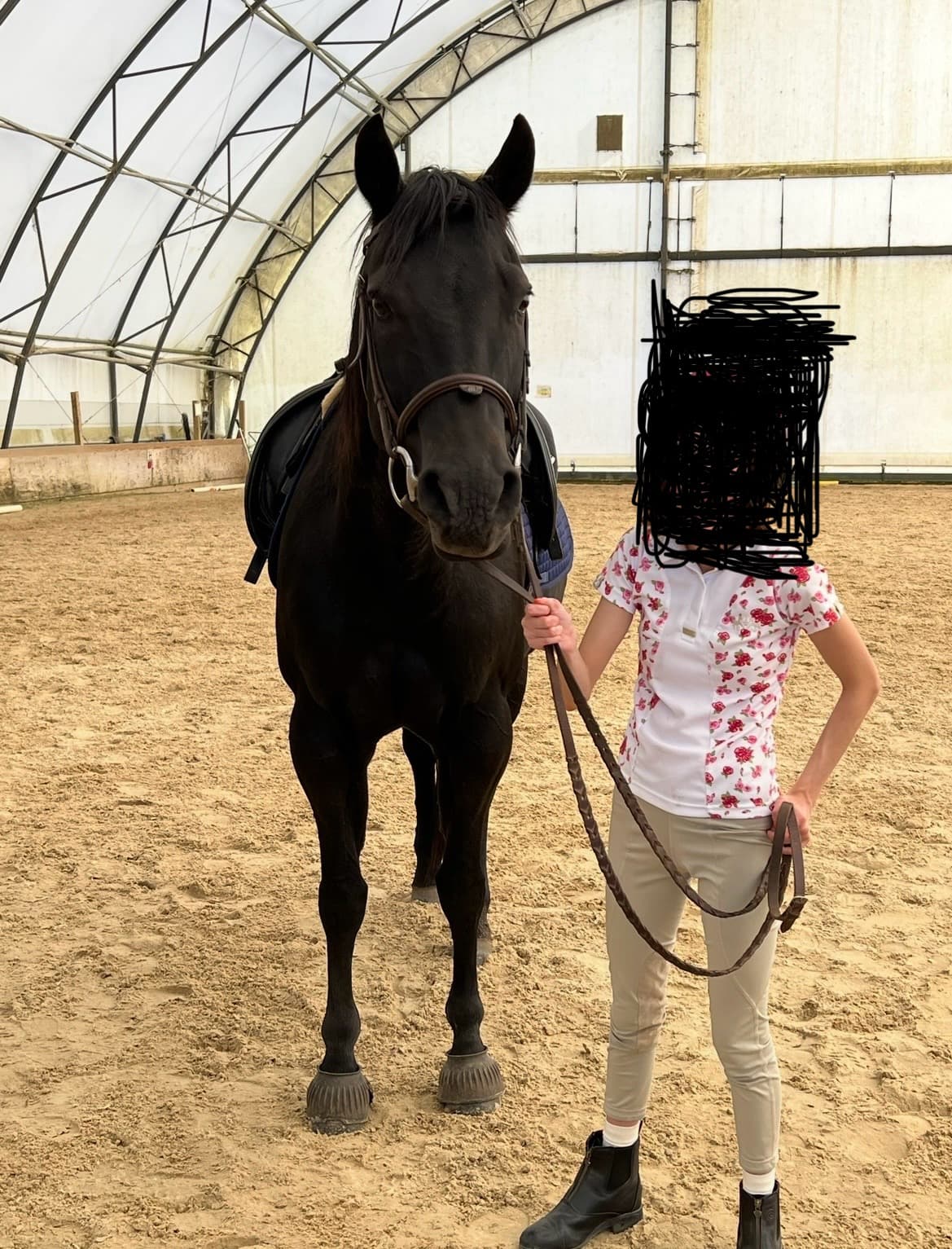 Support Diva: & Winter Care For Therapeutic Horses — photo 3