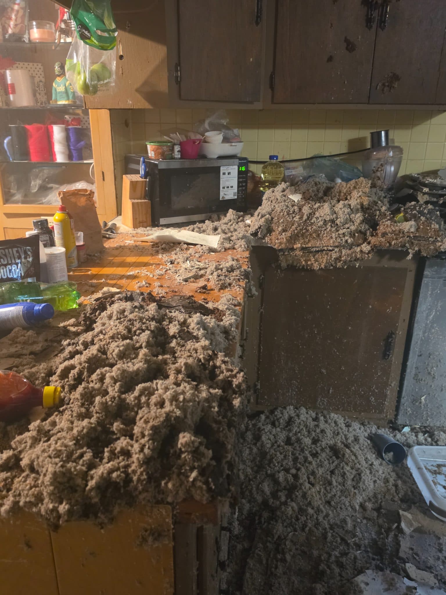 Urgent Help Needed: Rebuild After Ceiling Collapse — photo 4