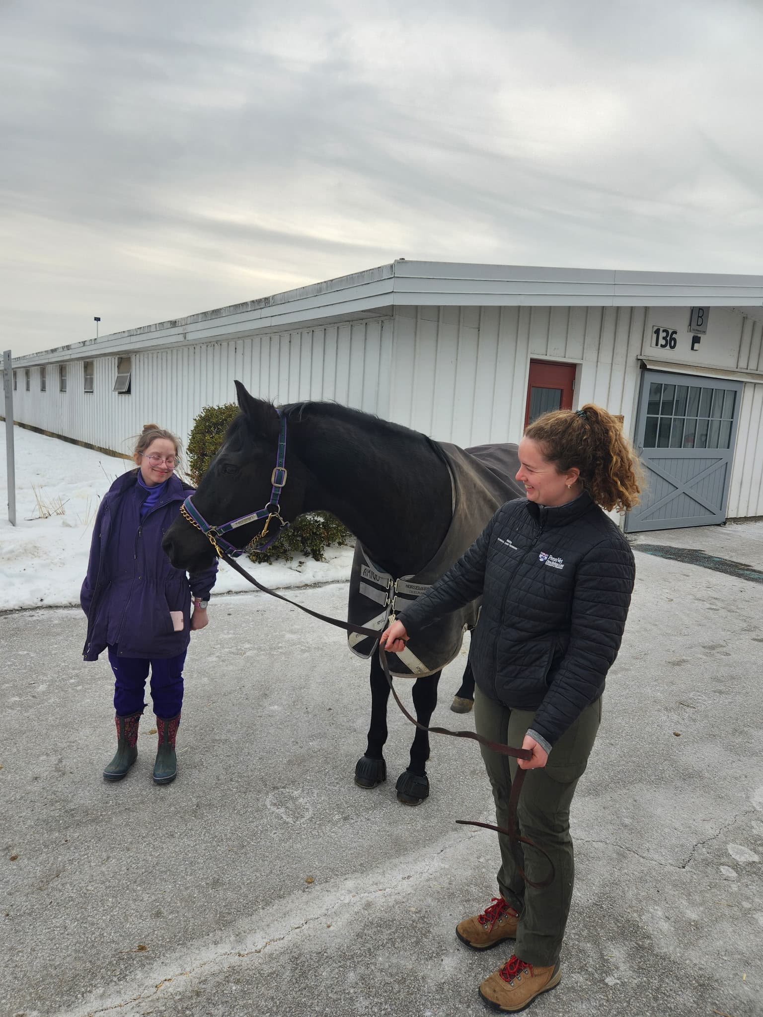 Support Diva: & Winter Care For Therapeutic Horses — photo 5