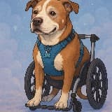 Cody Gackle