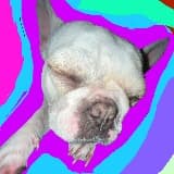Maria Martinez