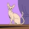 Capy Queen