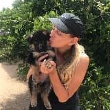 Mother of Beasts Dog Training