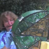 Sandra Steele
