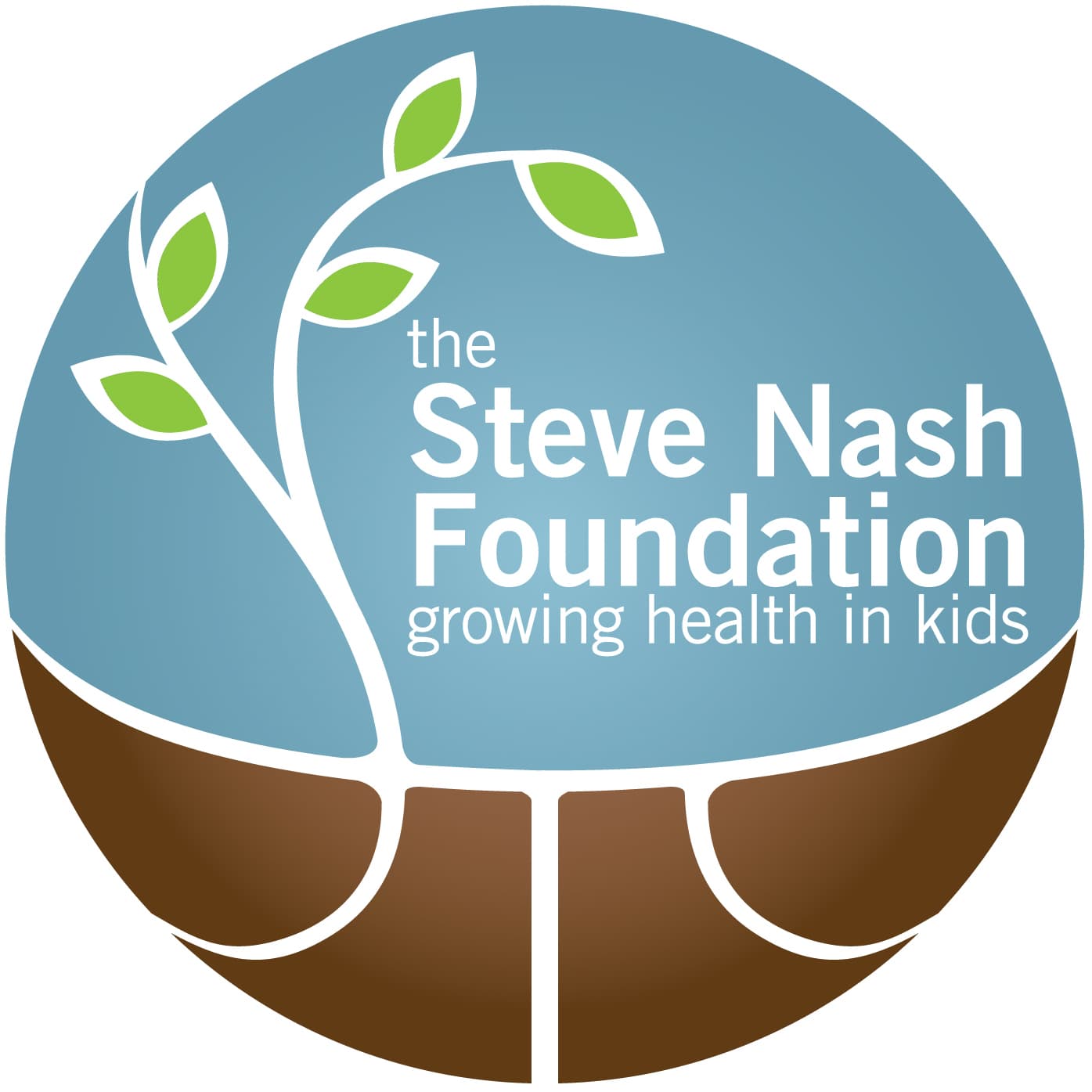 The Steve Nash Foundation