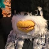 Robert Santamaria